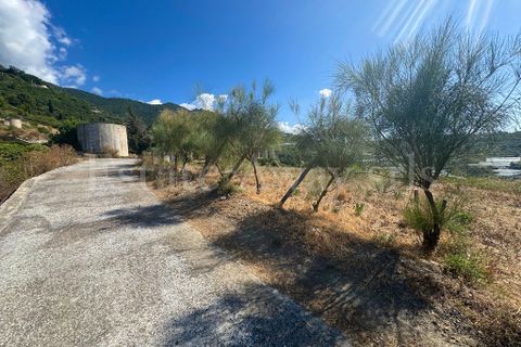 Landejendom i Ospedaletti, Imperia, Ospedaletti - € 330.000 | Ref: EM1312 - foto 11